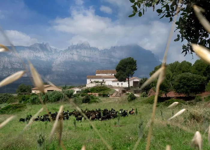 La Frasera Rural